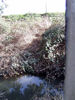 CollegeCreekStream