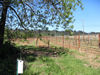 GrapeCreek090414AntennaClose