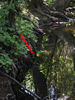 GrapeCreek090414StreamDetail