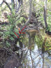 GrapeCreek090414StreamOverview