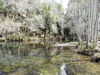 Mattole090410LedgeUpstream 